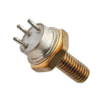 295531