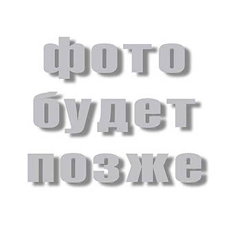 302594
