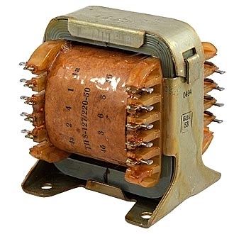 298204