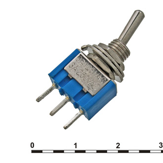 313306