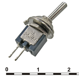 313393