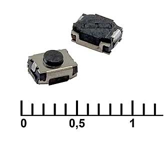 313704