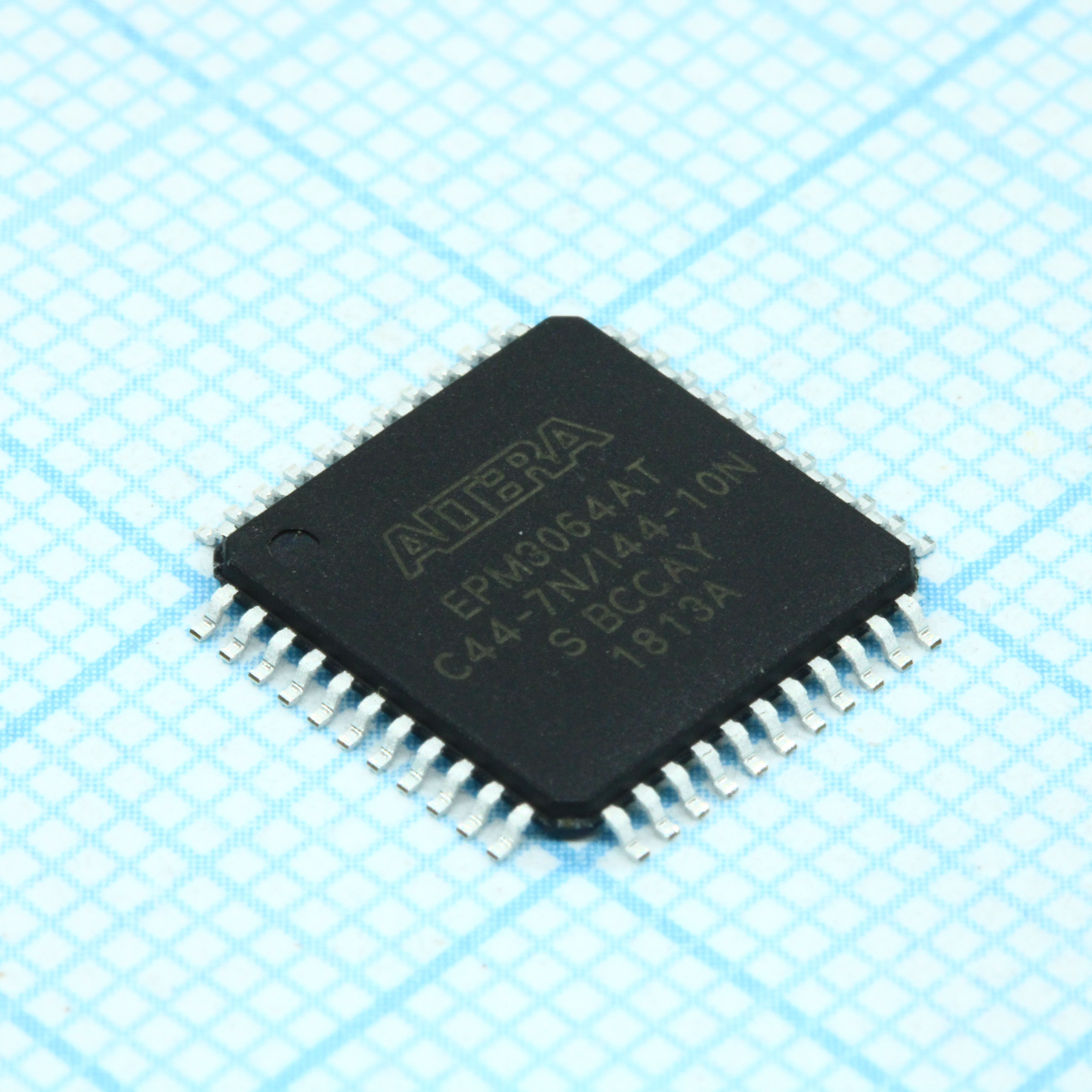 25605369