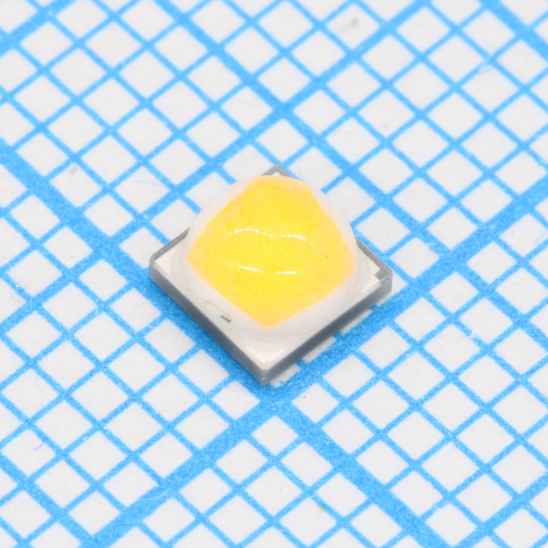 23890805