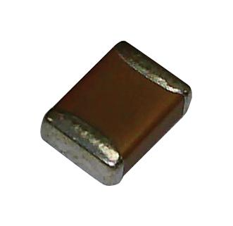 25549816